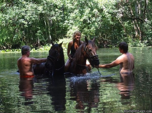 wimming Available On River Rides | Horseback Riding Near Ocala Florida | Ocala, Florida  | Horseback Riding & Dude Ranches | Image #1/24 | 