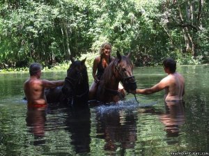 Horseback Riding Near Ocala Florida | Ocala, Florida | Horseback Riding & Dude Ranches
