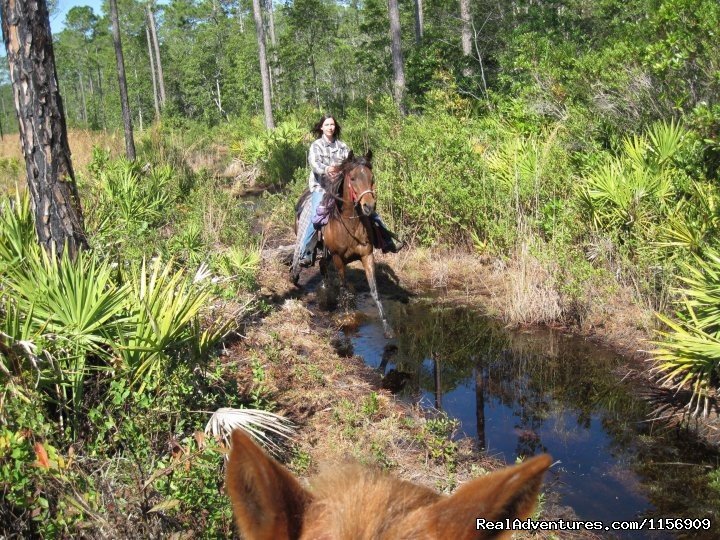 Horseback Riding Near Ocala Florida | Image #5/24 | 