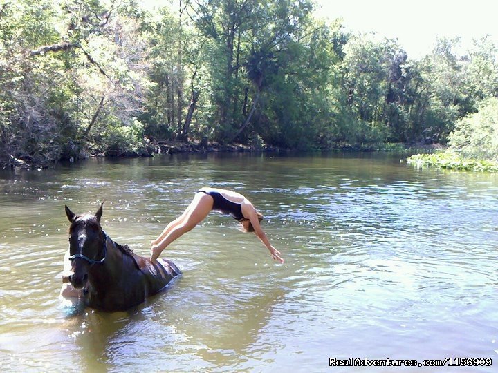 Horseback Riding Near Ocala Florida | Image #7/24 | 