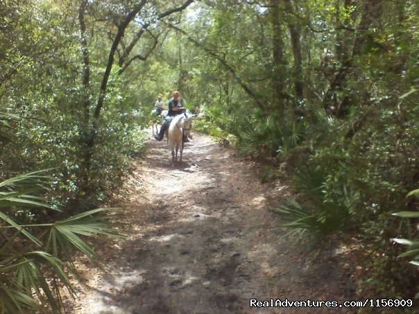 Horseback Riding Near Ocala Florida | Image #13/24 | 
