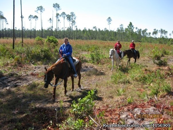 Horseback Riding Near Ocala Florida | Image #15/24 | 