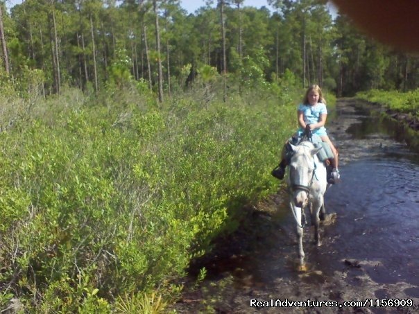 Horseback Riding Near Ocala Florida | Image #16/24 | 