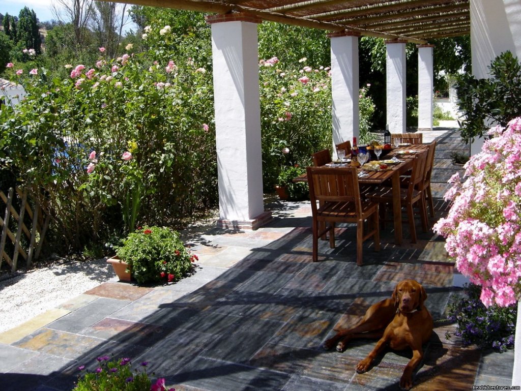 Casa Abuela terrace | Self-catering Vacation Ronda Andalucia Spain       | Image #6/9 | 