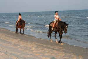 Two-bit Stable Horseback Riding on the Beach | Port St. Joe, Florida | Horseback Riding & Dude Ranches