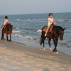 Two-bit Stable Horseback Riding on the Beach Two-bit Stable Horseback Riding on the Beach