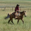 Colorado Cowboy  Vacation at Fish and Cross Ranch  Photo #1