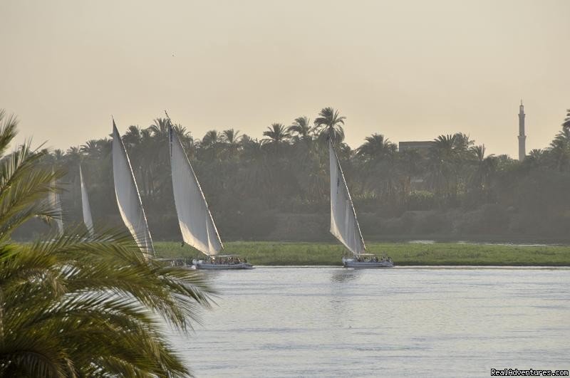 Feluccas on the Nile | Eye of Horus Tours, Guides and Tours | Image #7/23 | 