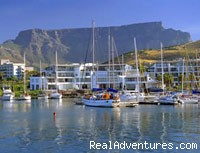 Free Accommodation in Cape Town: Photo #8
