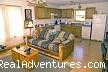 Luxury cabins on your budget: Moonshine family room view