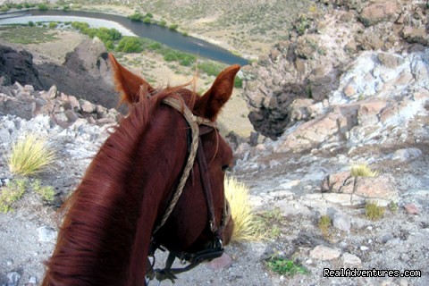 The View - Horse trekking into the Andes - patagonia argentina horseback riding el huecu