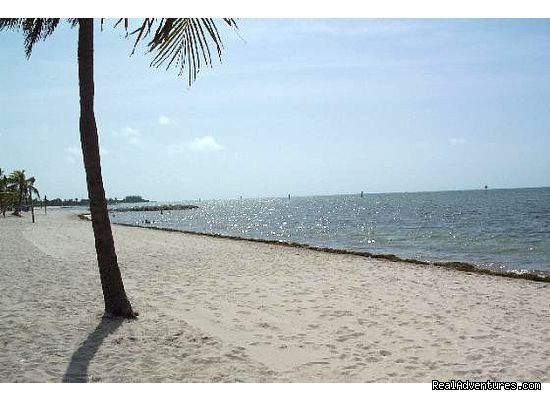 smathers beach | Key West Oasis 2 block walk to Duval Street | Image #12/17 | 
