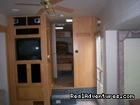 Experience Camping in the Redwood Forest: 1999 Bounder
