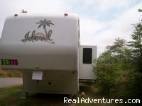 Experience Camping in the Redwood Forest: 2001 Alfa Ideal