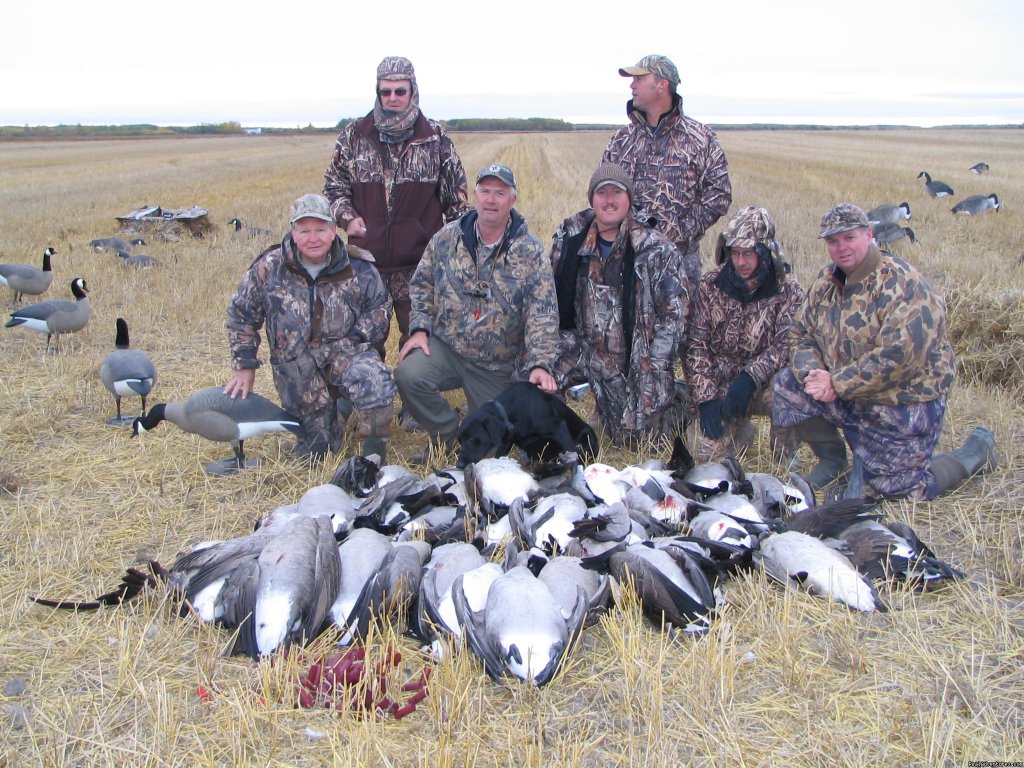 World Class Waterfowl Hunting Alberta | Image #2/25 | 
