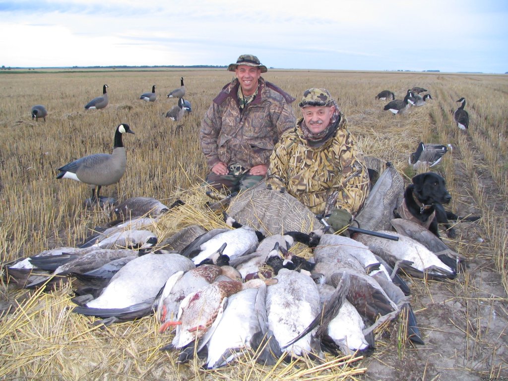 World Class Waterfowl Hunting Alberta | Image #11/25 | 