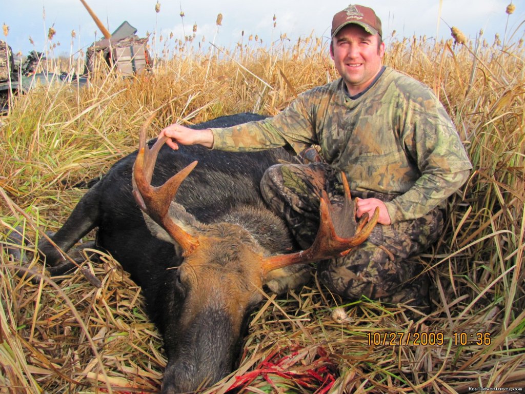 Typical moose the Peace Country. | World Class Waterfowl Hunting Alberta | Image #22/25 | 