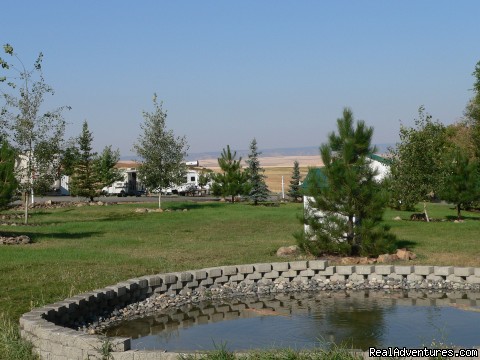 An Oasis between Coeur D' Alene and Boise: Koi Pond