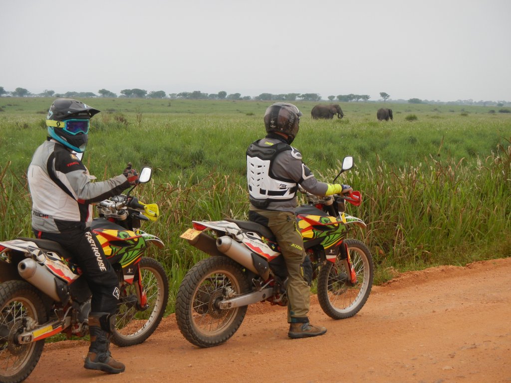 Elephants Encounter | Motorcycle Adventure Tours In Ethiopia & Rwanda | Image #2/11 | 