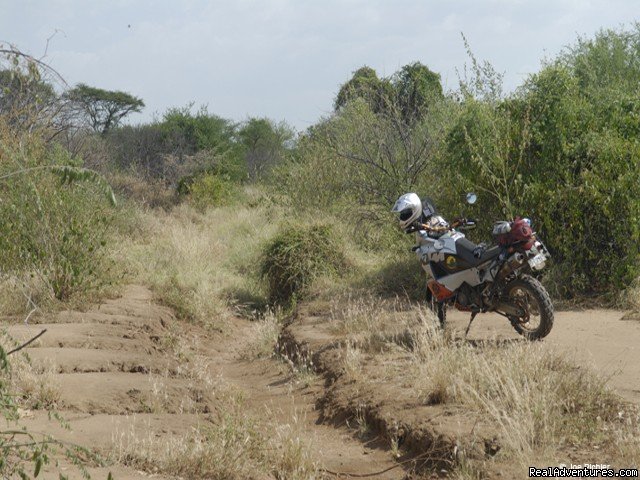 Mago National Park, South Ethiopia | Motorcycle Adventure Tours In Ethiopia & Rwanda | Image #9/11 | 