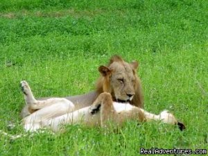 Tours and Travel Agency | Dar es salaam, Tanzania | Sight-Seeing Tours