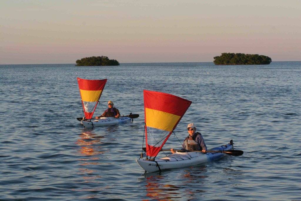 easy downwind kayak sailing using Pacific action sails | National Wildlife Refuge Kayak & Boat Tours | Image #5/10 | 
