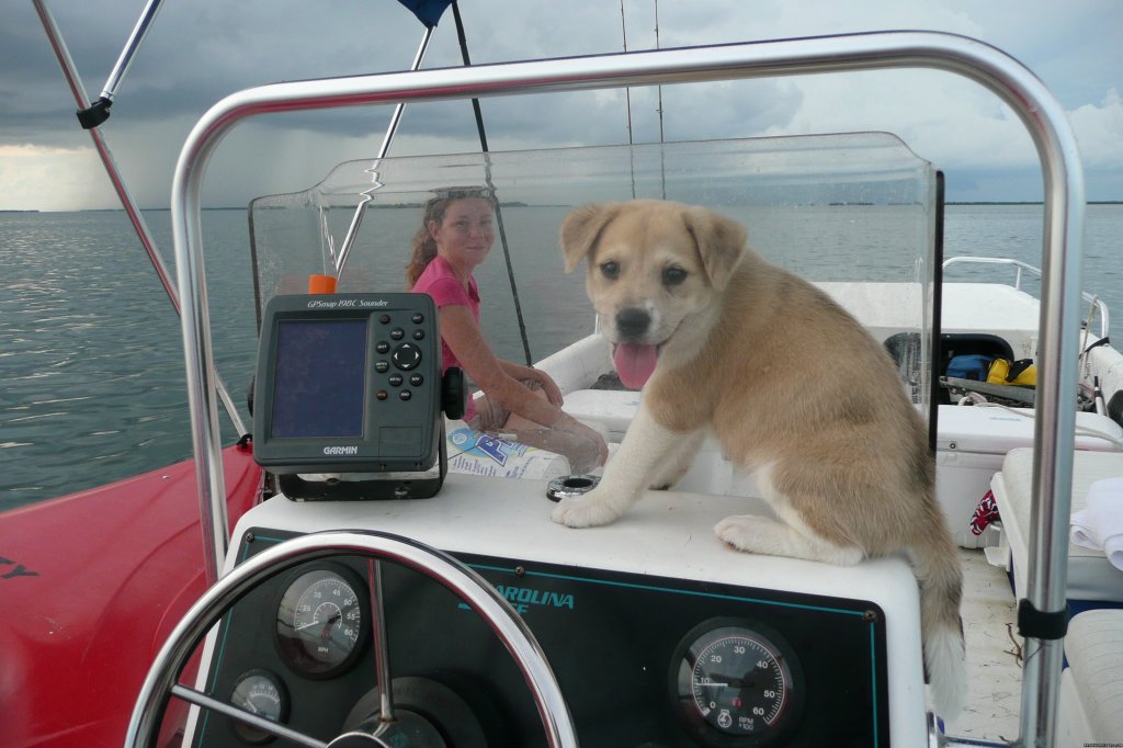 scupper at the helm of our charter skiff | National Wildlife Refuge Kayak & Boat Tours | Image #8/10 | 