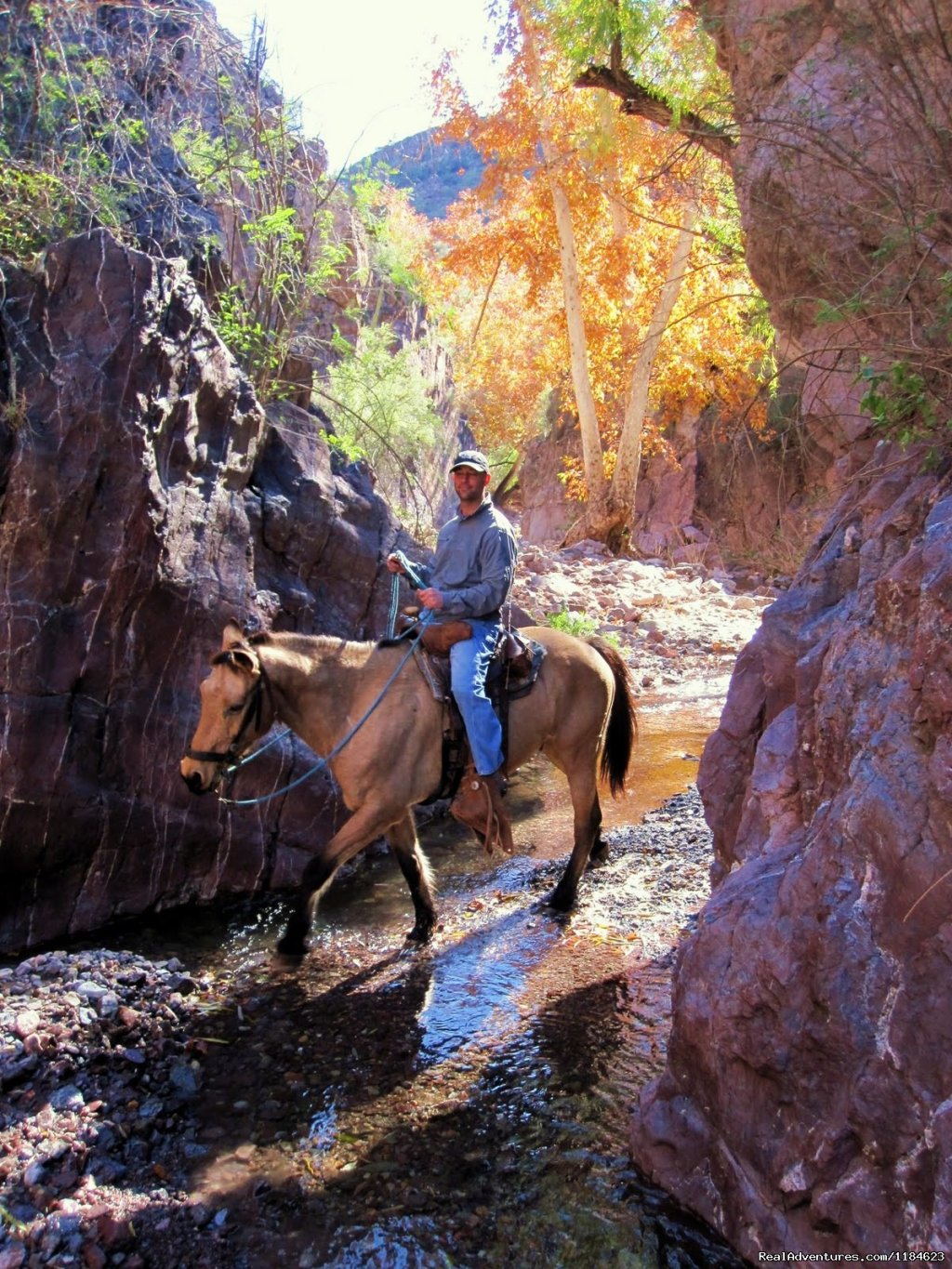 Sonoran Canyonlands Hiking and/or Riding Adventure | Image #6/26 | 