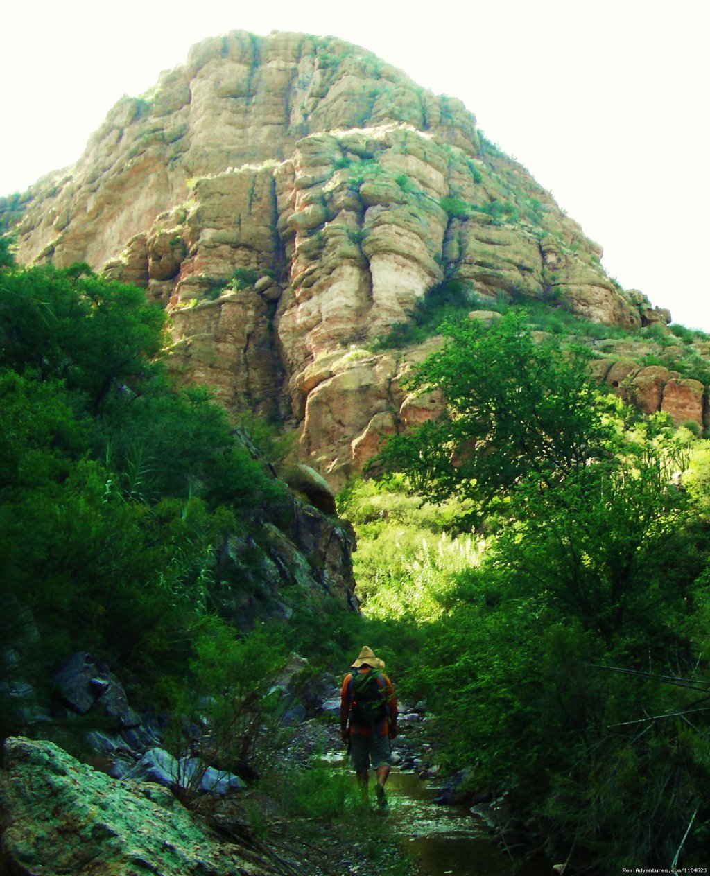 Sonoran Canyonlands Hiking and/or Riding Adventure | Image #22/26 | 