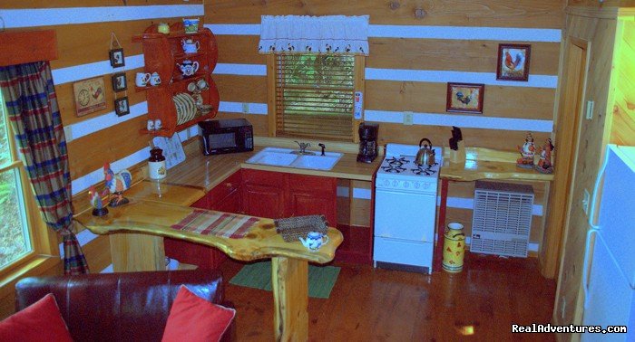 Log Cabin Vacation Rentals Great Smoky Mountain NC | Aquone, North Carolina  | Vacation Rentals | Image #1/9 | 