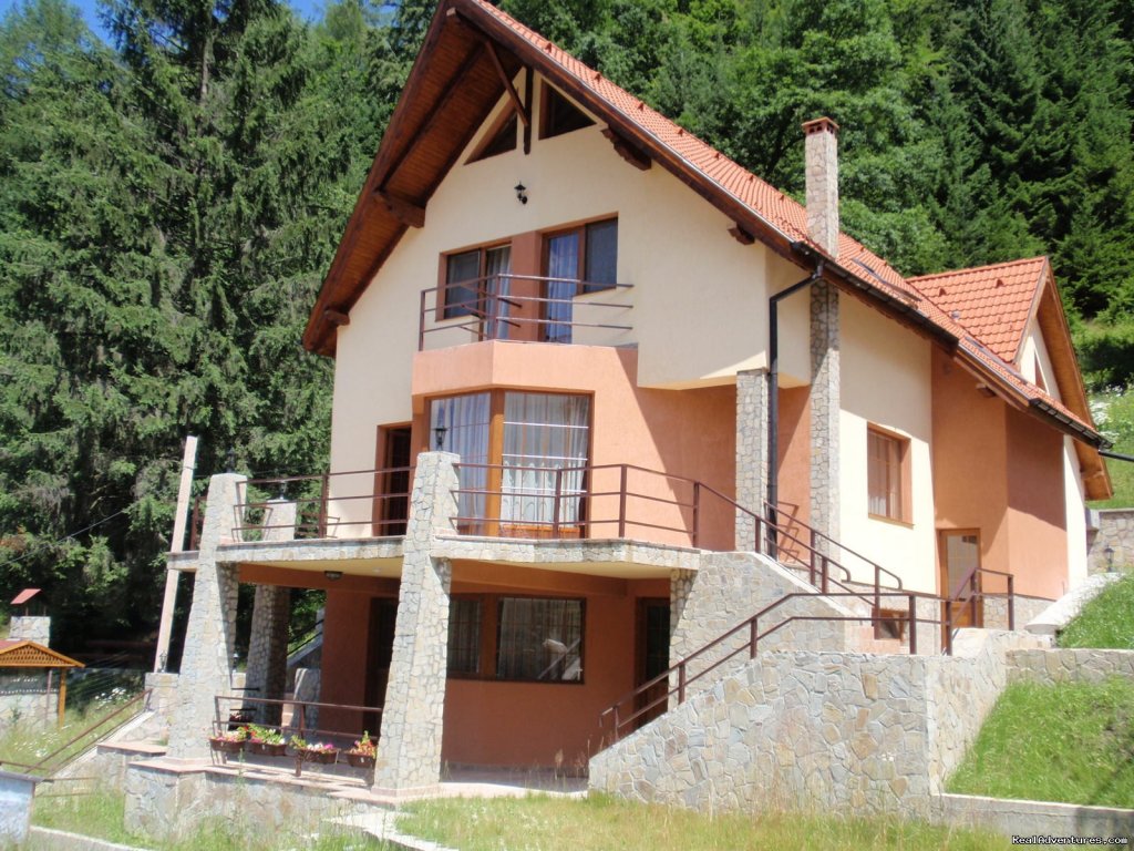 Front view Summer | Villa Casa Olandeza Brasov mountain holiday house | Image #2/23 | 