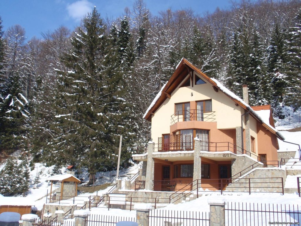 Front view in Winter | Villa Casa Olandeza Brasov mountain holiday house | Image #10/23 | 