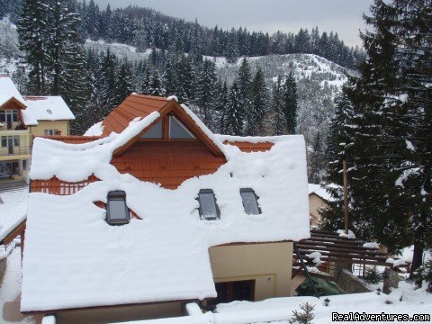 Back view | Villa Casa Olandeza Brasov mountain holiday house | Image #19/23 | 