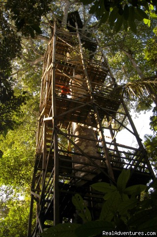 Adventure and Ecotourism At Finest Amazon Lodge : Observation tower