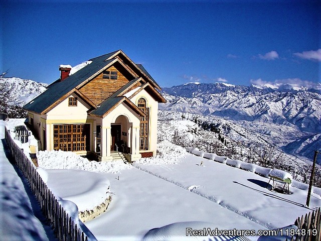 pine jungle walk to DRS - Dwarika Residency shelapani shimla hills - himachal pradesh: shimla india hiking & trekking shimla