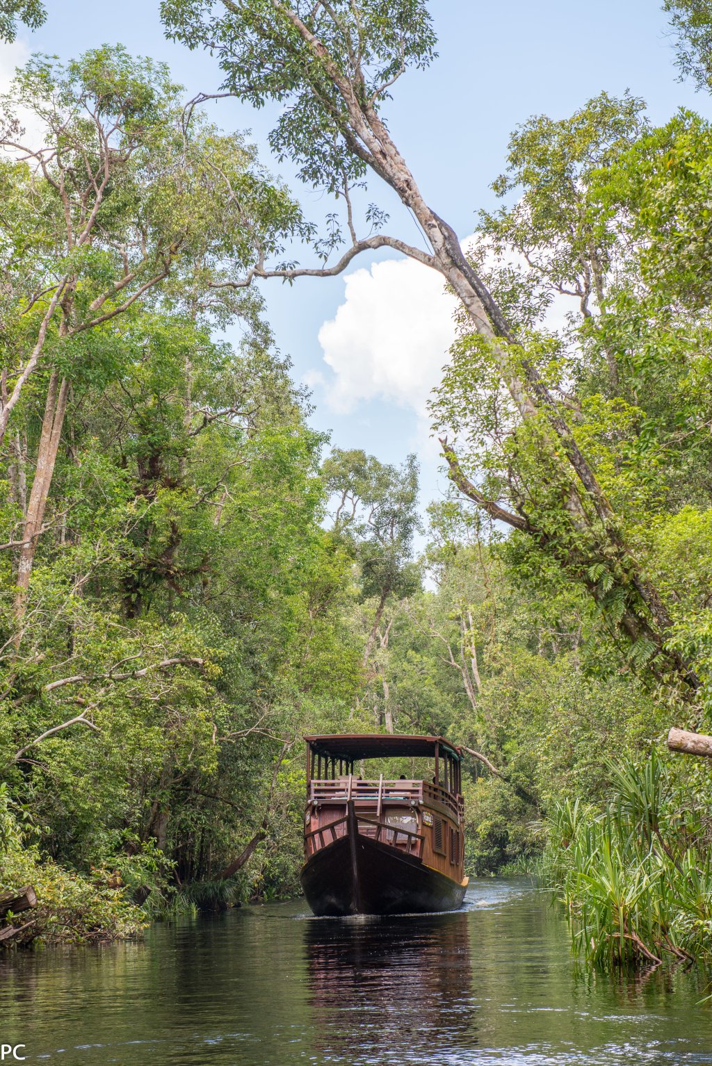 The Kumai In The Camp Leakey Canalhe | Orangutan River Cruises | Image #17/18 | 