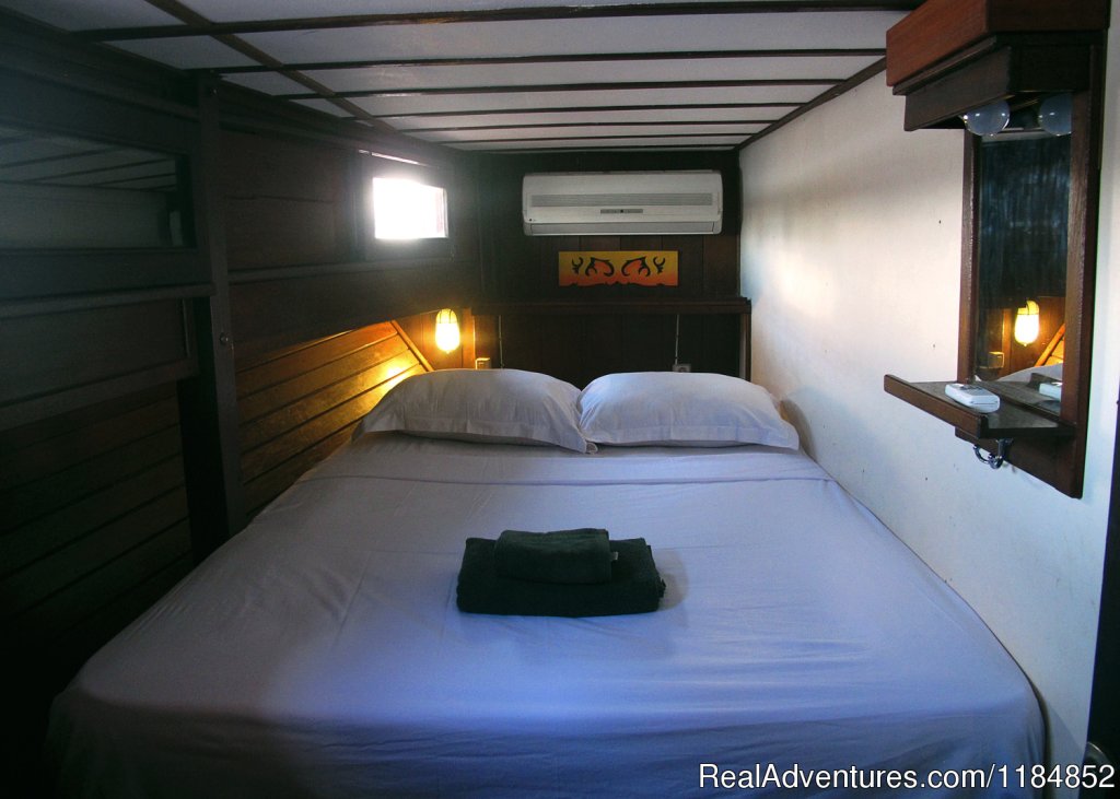 Cabin On Board The Comfortable Spirit Of Kalimantan | Orangutan River Cruises | Image #13/18 | 