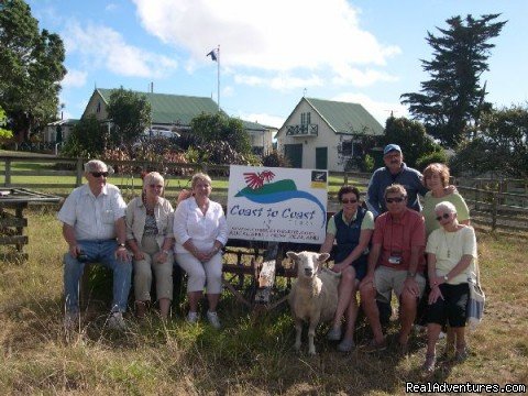 Small personalised groups | Auckland (nz) Sheep World Tour | Image #3/9 | 