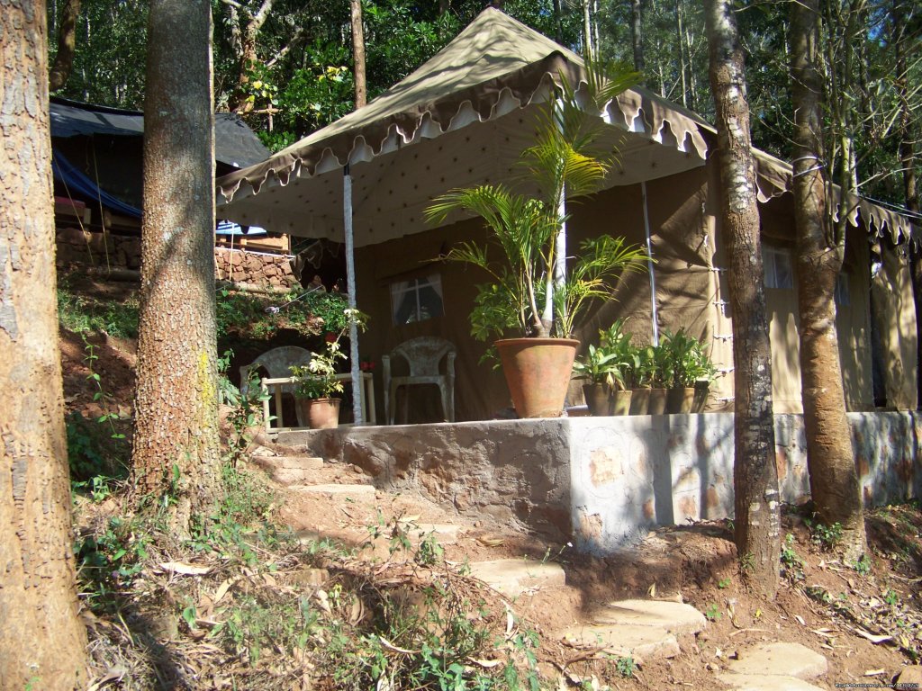 Jungle camping Devigiri Coffee Estate Chikmagalur | Image #8/21 | 