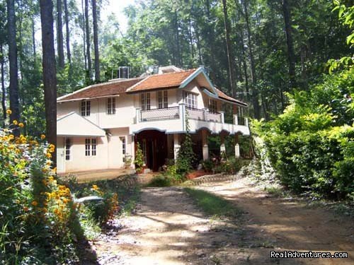 Bungalow in Jungle/Coffee Estate Chikmagalur | Jungle camping Devigiri Coffee Estate Chikmagalur | Image #16/21 | 