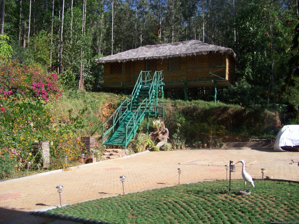 Jungle camping Devigiri Coffee Estate Chikmagalur | Image #13/21 | 