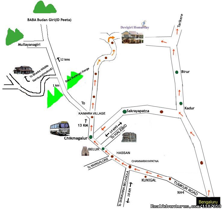 Devigiri Homestay chikmagalur route map | Jungle camping Devigiri Coffee Estate Chikmagalur | Image #15/21 | 