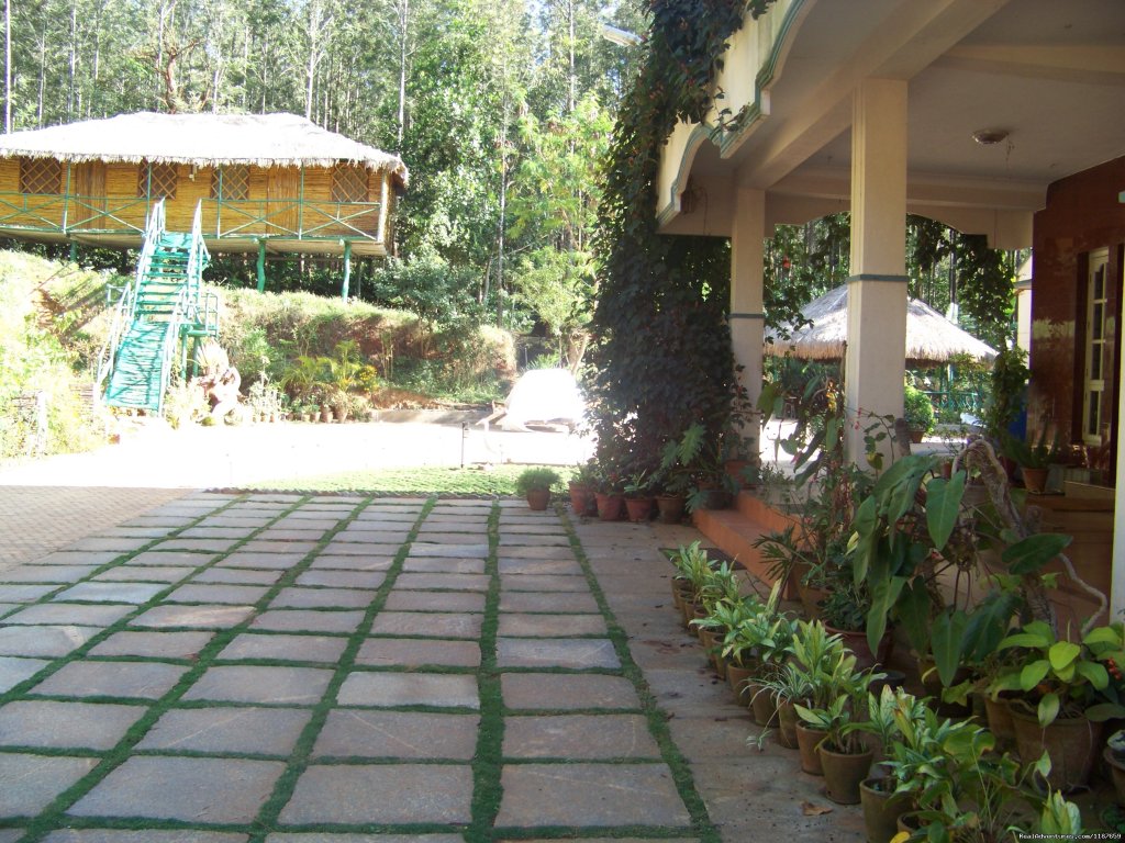 Devigiri Homestay Cottages, Chikmagalur | Jungle camping Devigiri Coffee Estate Chikmagalur | Image #18/21 | 