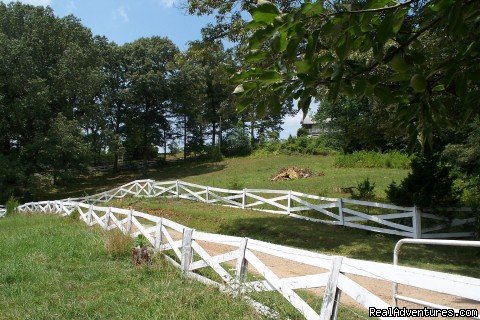 Apple Trail | The Farm on Hobb Knobb Hill | Image #2/5 | 