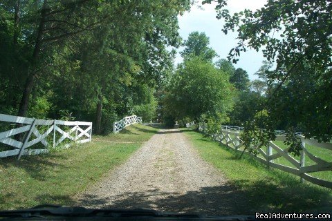 Lower Driveway | The Farm on Hobb Knobb Hill | Image #5/5 | 