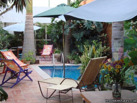 The pool area between palm trees | Hotel Boutique Casa Tlaquepaque a Wonderful Gem. | Image #4/6 | 