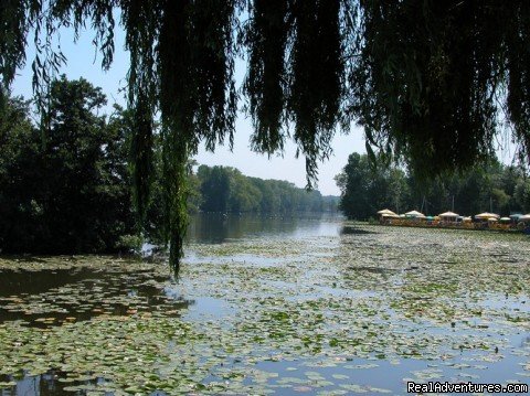 Overmere - Donk Lake | Romantic B & B between Ghent - Bruges and Antwerp | Image #10/22 | 