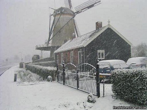 Landscape Zeeuws Vlaanderen in winter | Romantic B & B between Ghent - Bruges and Antwerp | Image #21/22 | 