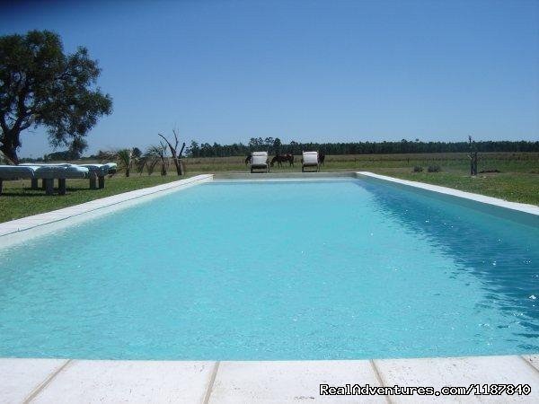 Pool | Unique Argentine Estancia | Image #12/18 | 