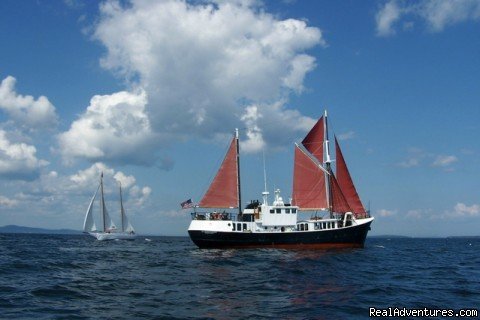 Sail The Caribbean On A Private Yacht | Belfast, Puerto Rico | Sailing | Image #1/8 | 
